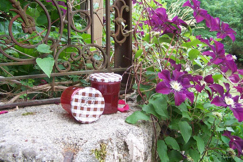 Domaine De Salomony Marcols-les-Eaux Exterior foto